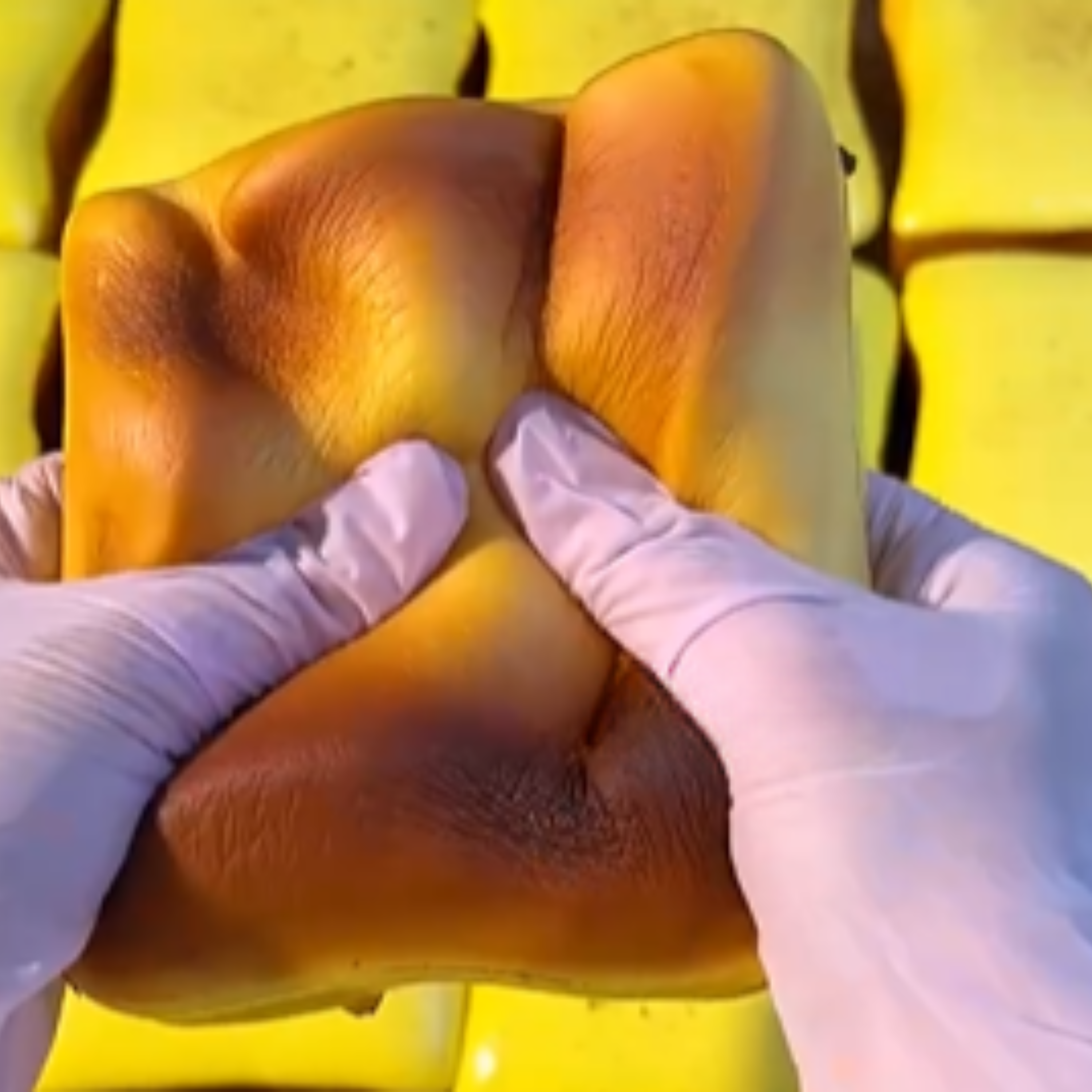 Toast with Cheese Squishy